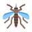 Mosquito