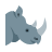 Rhinoceros