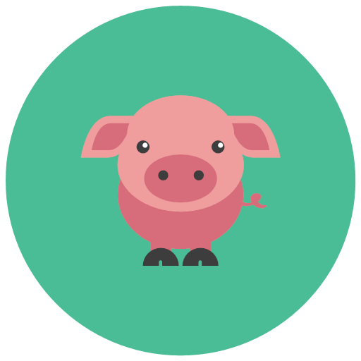 Pig
