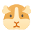 Guinea Pig
