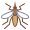 Mosquito
