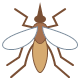 Mosquito