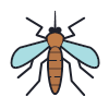 Mosquito
