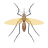 Mosquito