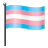 Transgender Flag