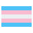 Transgender Flag