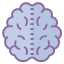 Brain
