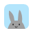 Study Bunny