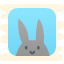 Study Bunny