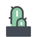 Cactus in Pot
