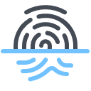 Fingerprint Scan