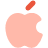 Computer Logo Apple