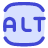 Computer Keyboard Alt
