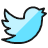 Social Media Twitter