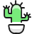 Plant Cactus