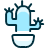 Plant Cactus