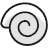 Snail Shell
