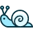 Snail 1